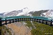 Jasper to Calgary via Columbia Icefields